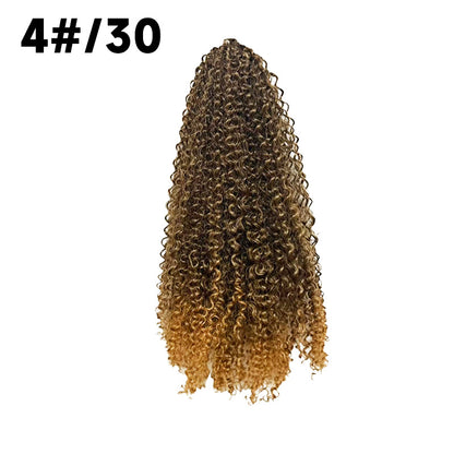 premium synthetic afro curly ponytail extension in shade four thirty displayed on a clean white background
