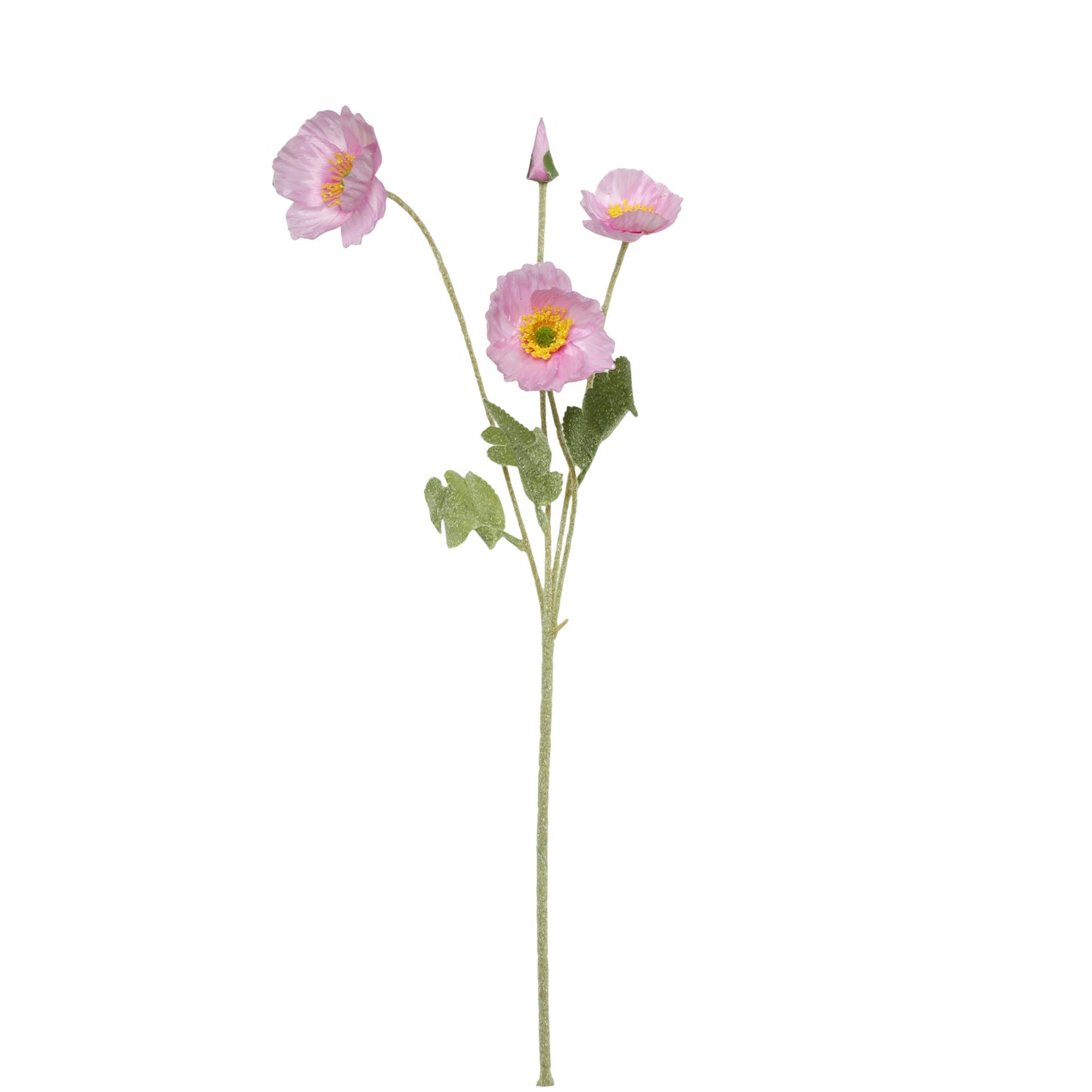 realistic faux silk poppy flowers in soft vibrant coral pink color on a clean white background