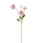realistic faux silk poppy flowers in soft vibrant coral pink color on a clean white background
