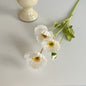 realistic faux silk poppy flowers in elegant white color on an aesthetic grey background