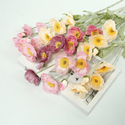 various color variants of realistic artificial poppy flowers flat laid together on a clean white background