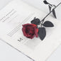f6ebfa8f-a047-4248-8a6f-dbddfd4eed2e
