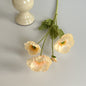 realistic faux silk poppy flowers in warm sunset orange color on an aesthetic grey background