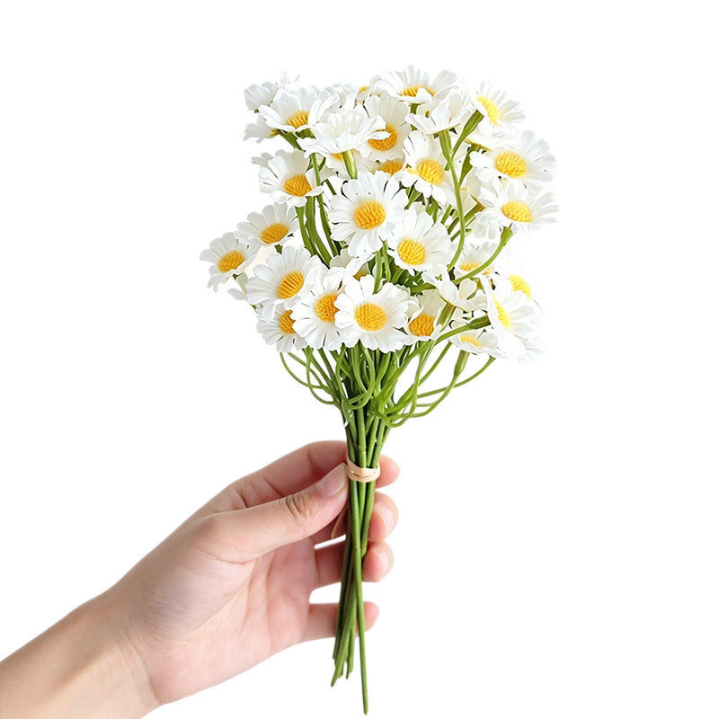 realistic artificial white daisy flowers fake chamomile bouquets held by a hand on a clean background